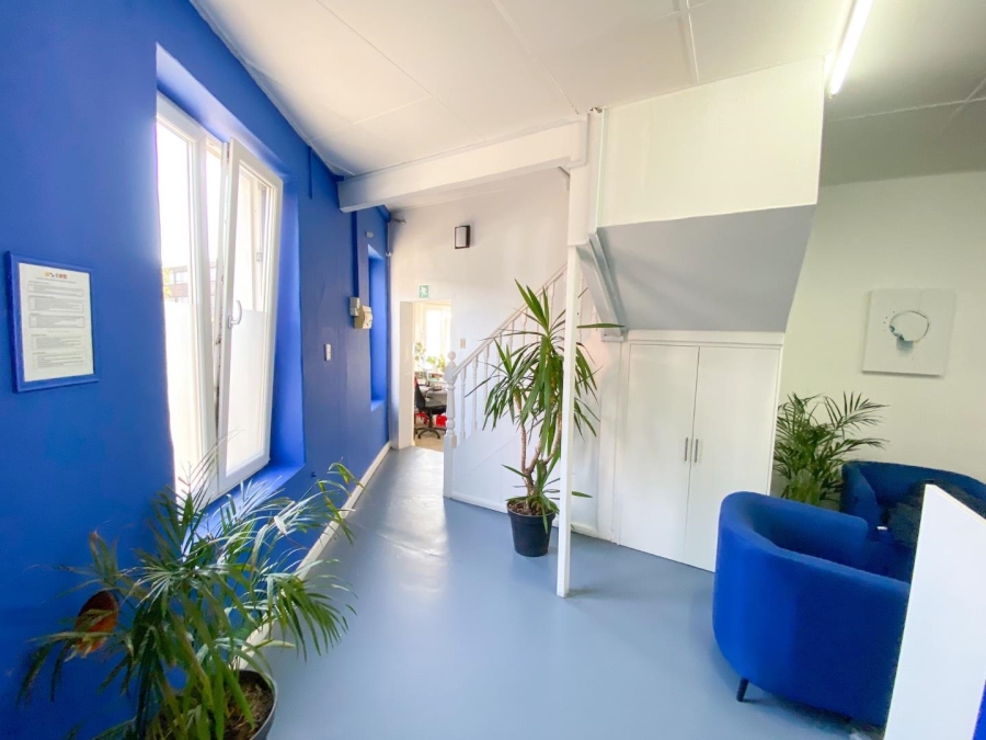 To Let commercial Property for Rent in Observatory Western Cape